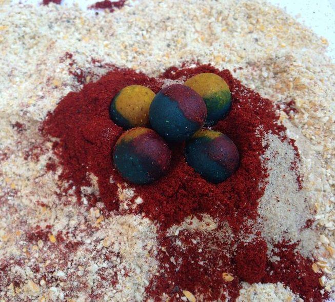 forta senzor - 268089218474548290889207208159n.jpg